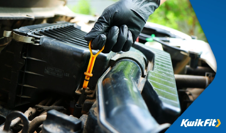 check oil using the dipstick