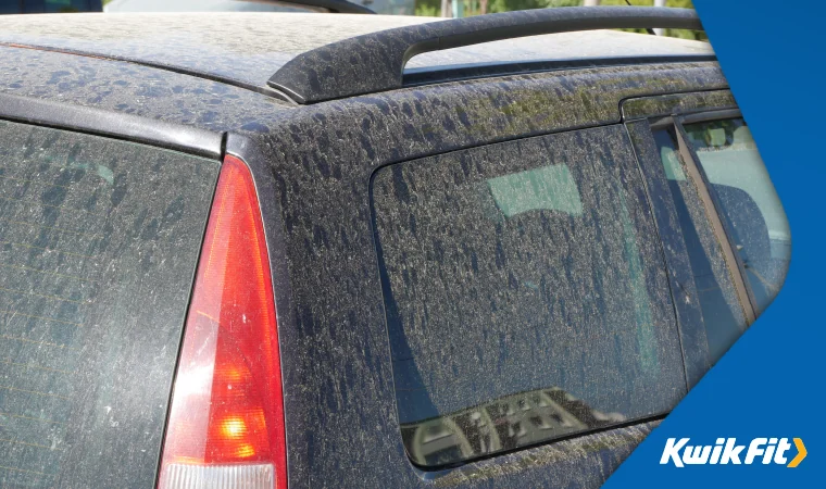 Dusty rear of car